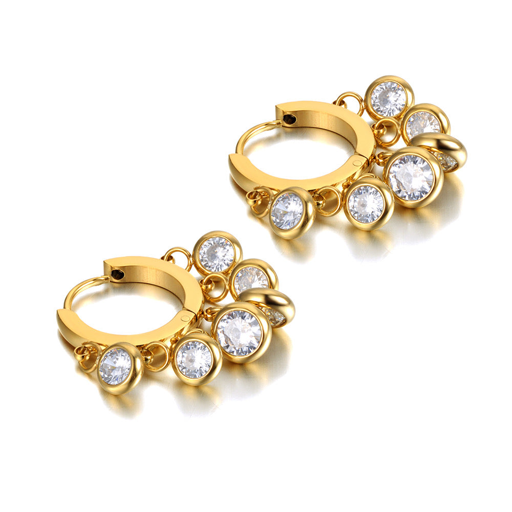 Hoop Zircon tassel drop Earring